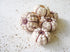 Baby Sputnik Sea Urchin - Pack of 10